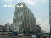 彩福大厦 优质商住楼宇租赁与购买指南